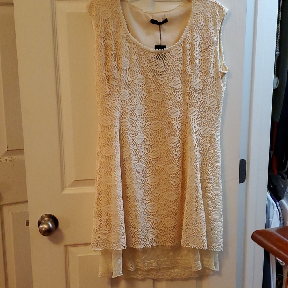 Adorn lace dress
